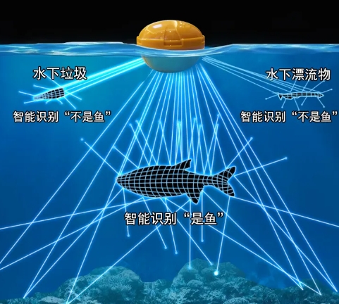 超声波探头的工作原理和应用